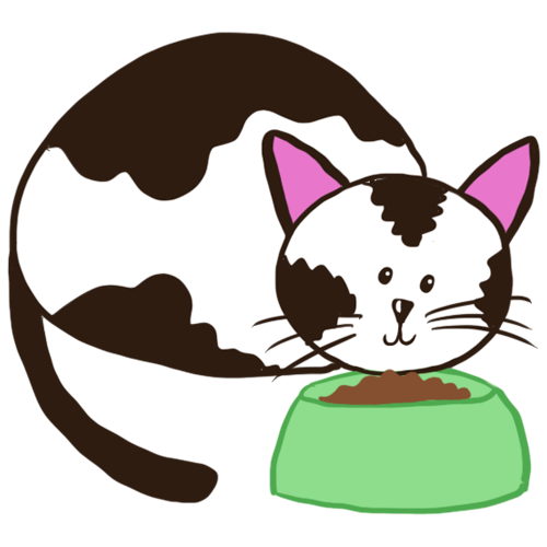 A black and white cat is sitting on top of a green bowl of food.