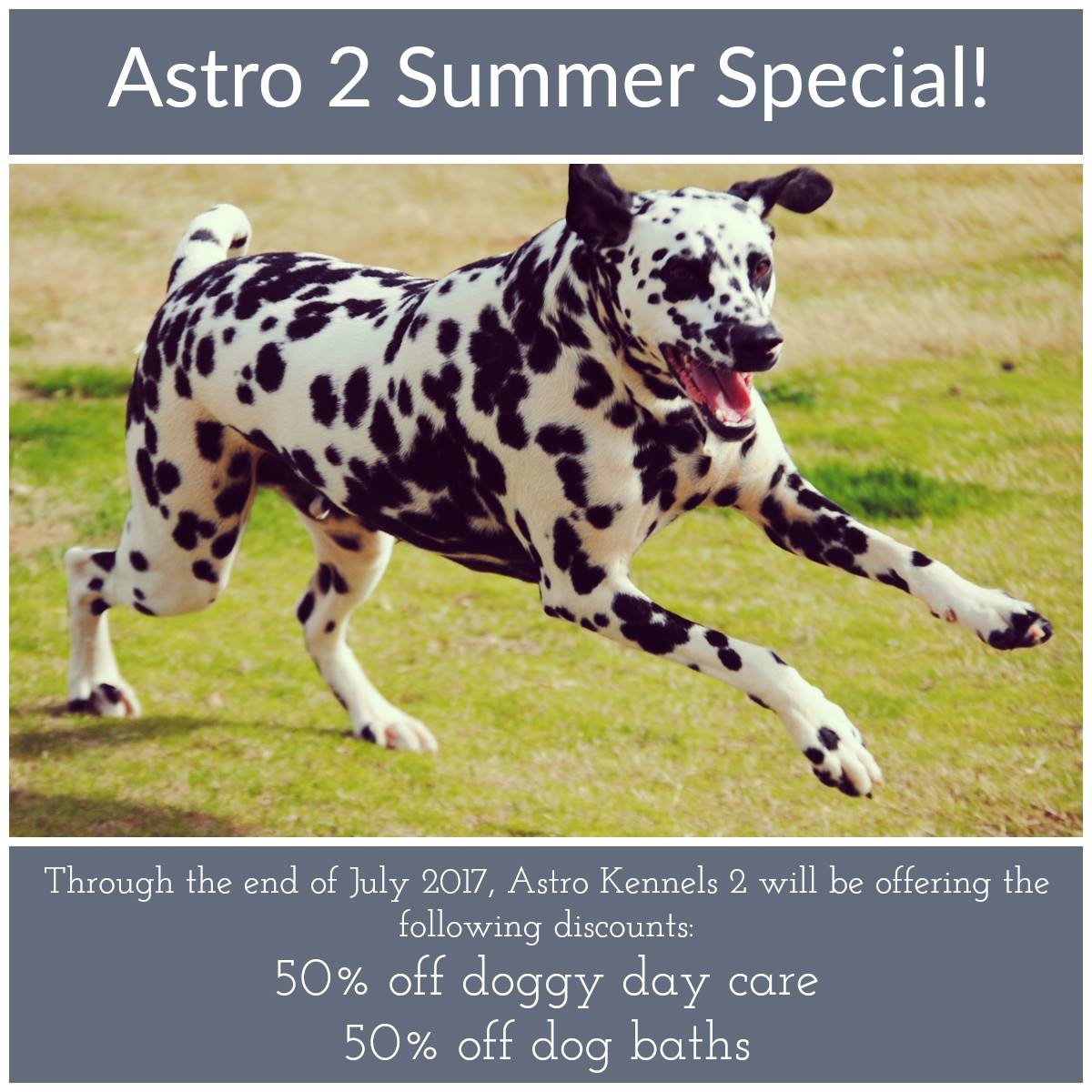 Astro Kennels 2 Summer Special!