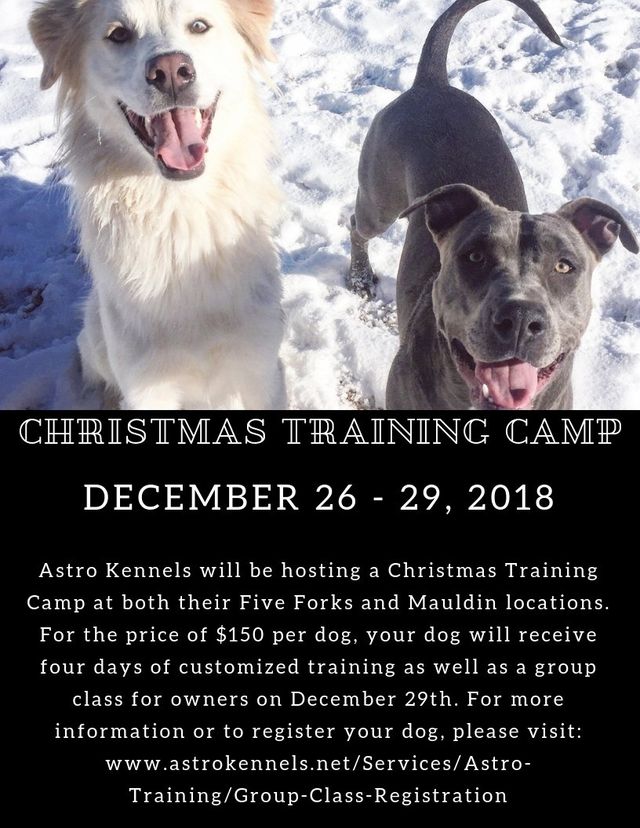 astro kennels training