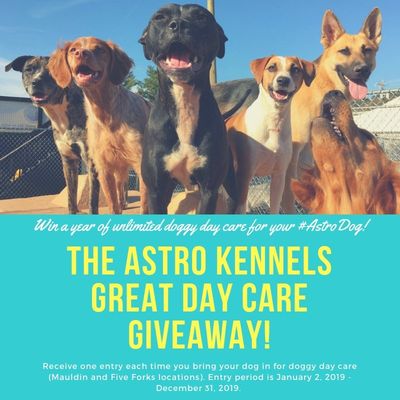 Astros Dog Day Brings Happy Dogs and a Win For the 'Stros