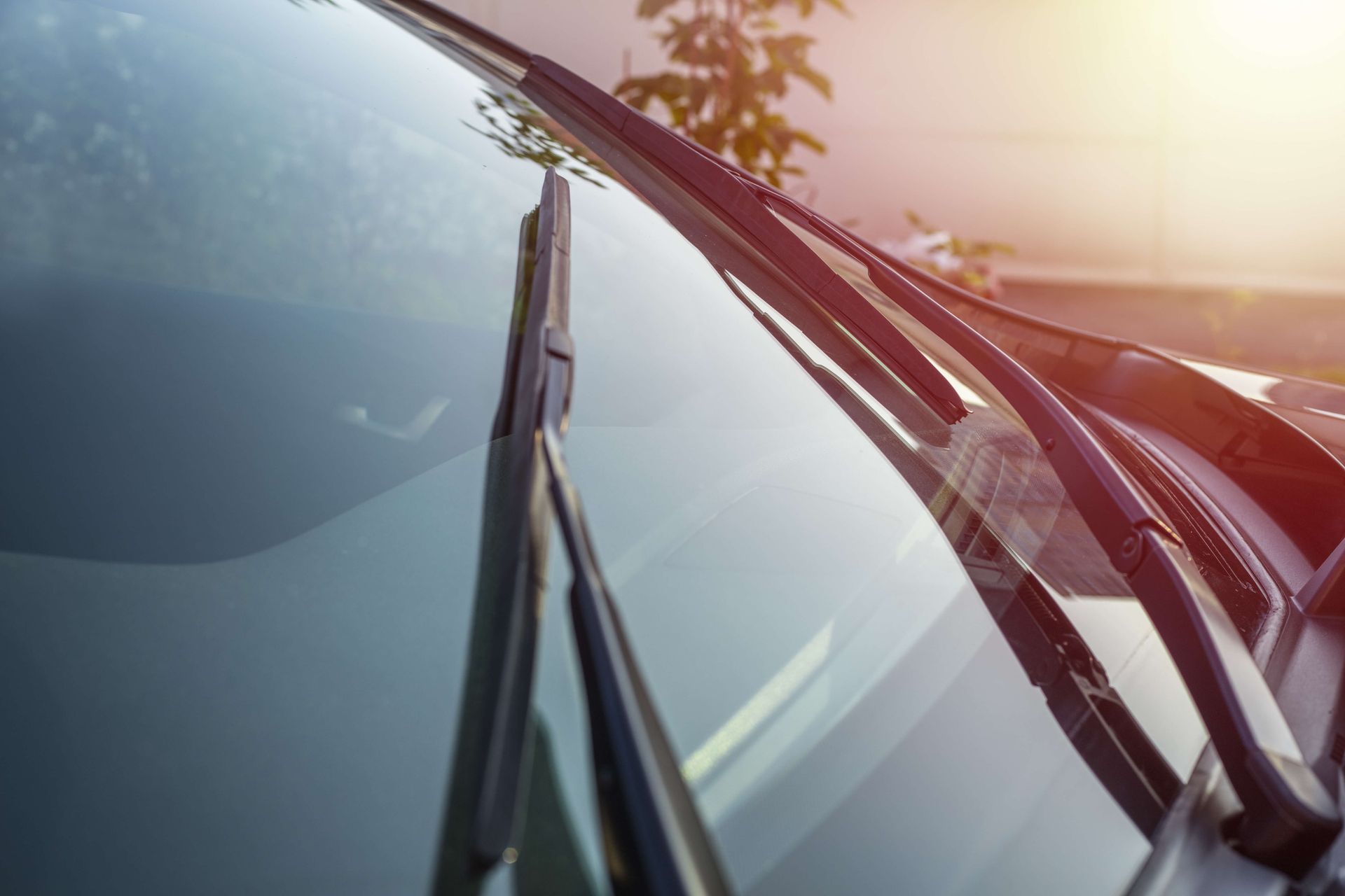 Windshield Close Up