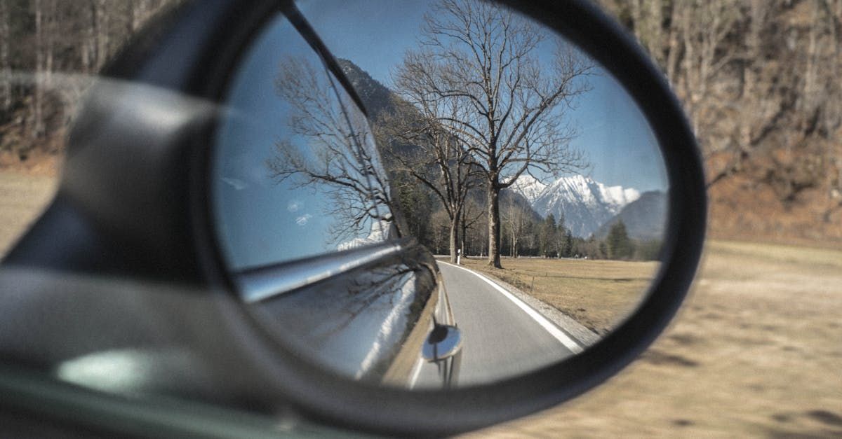 passenger's side mirror perspective