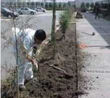 INTEGRACIÓN Y ADMINISTRACIÓN DE SERVICIOS EMPRESARIALES SA DE CV