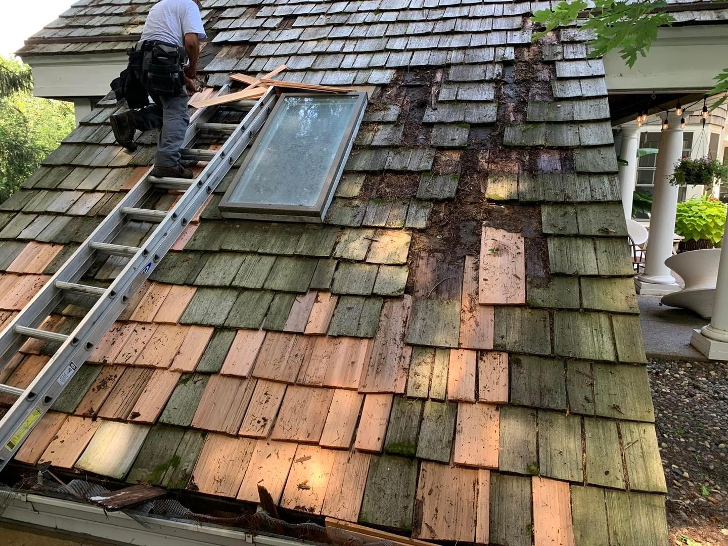 Anti-Fungal Wood Preservative Treatment