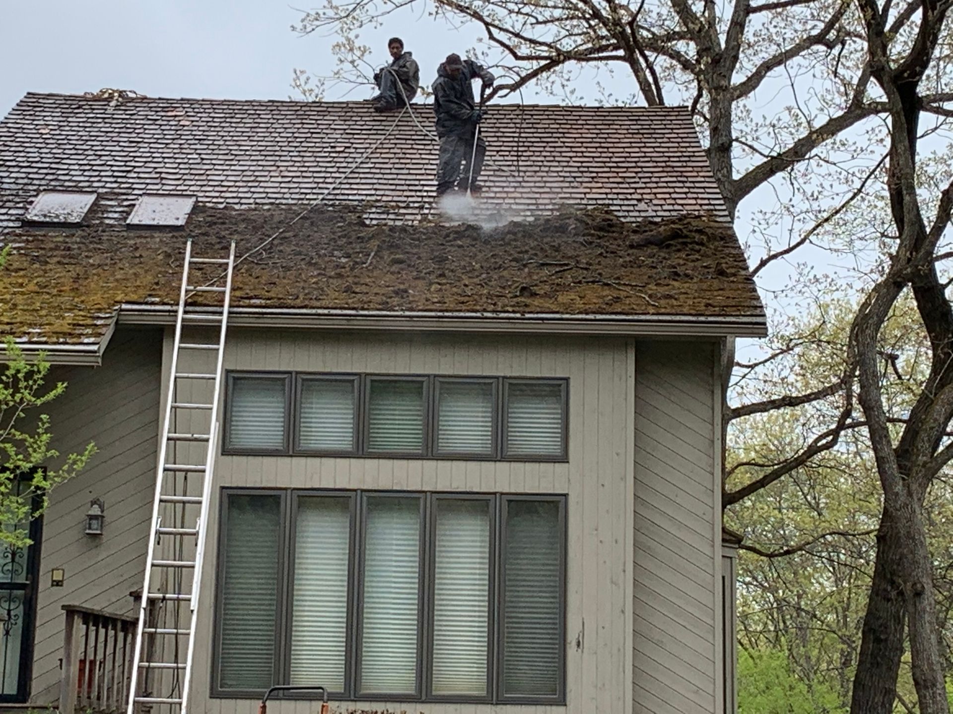 Roof Cleaning