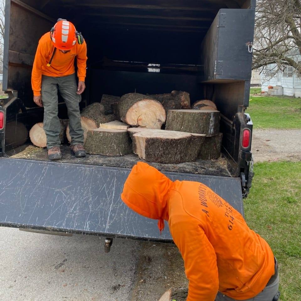 Stack Of Logs — Columbus, OH — A Woman’s Touch Tree Care