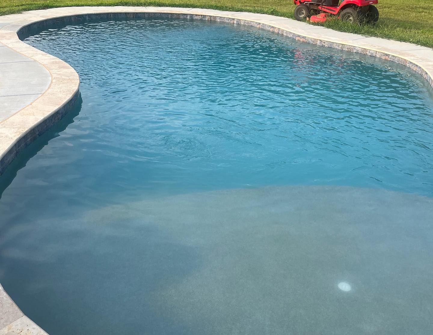 Curved backyard swimming pool