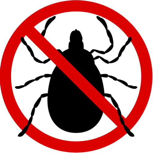 Flea Pest Control Flea Pest Control