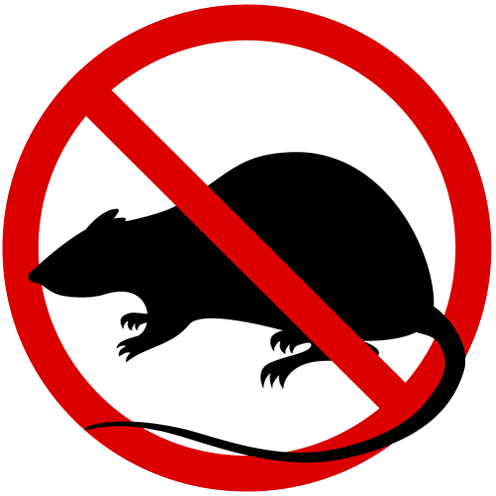 Flea Pest Control Flea Pest Control