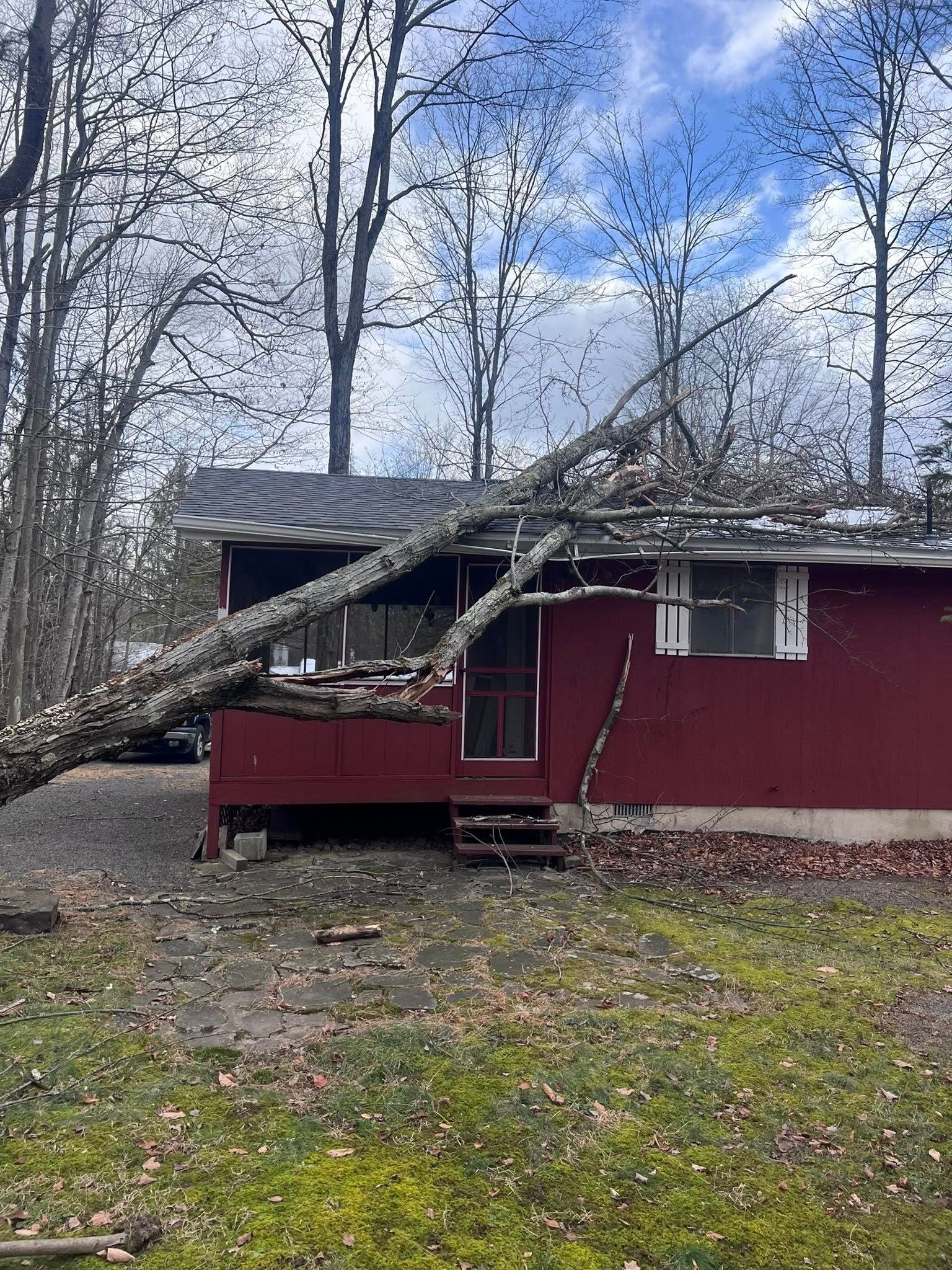 Red house with a large fallen tree branch across the roof in a wooded yard.