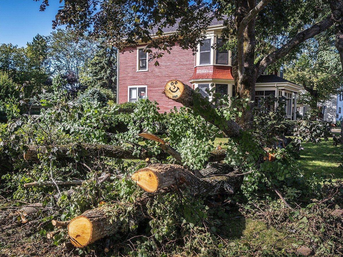 A pile of fallen trees in front of a house.