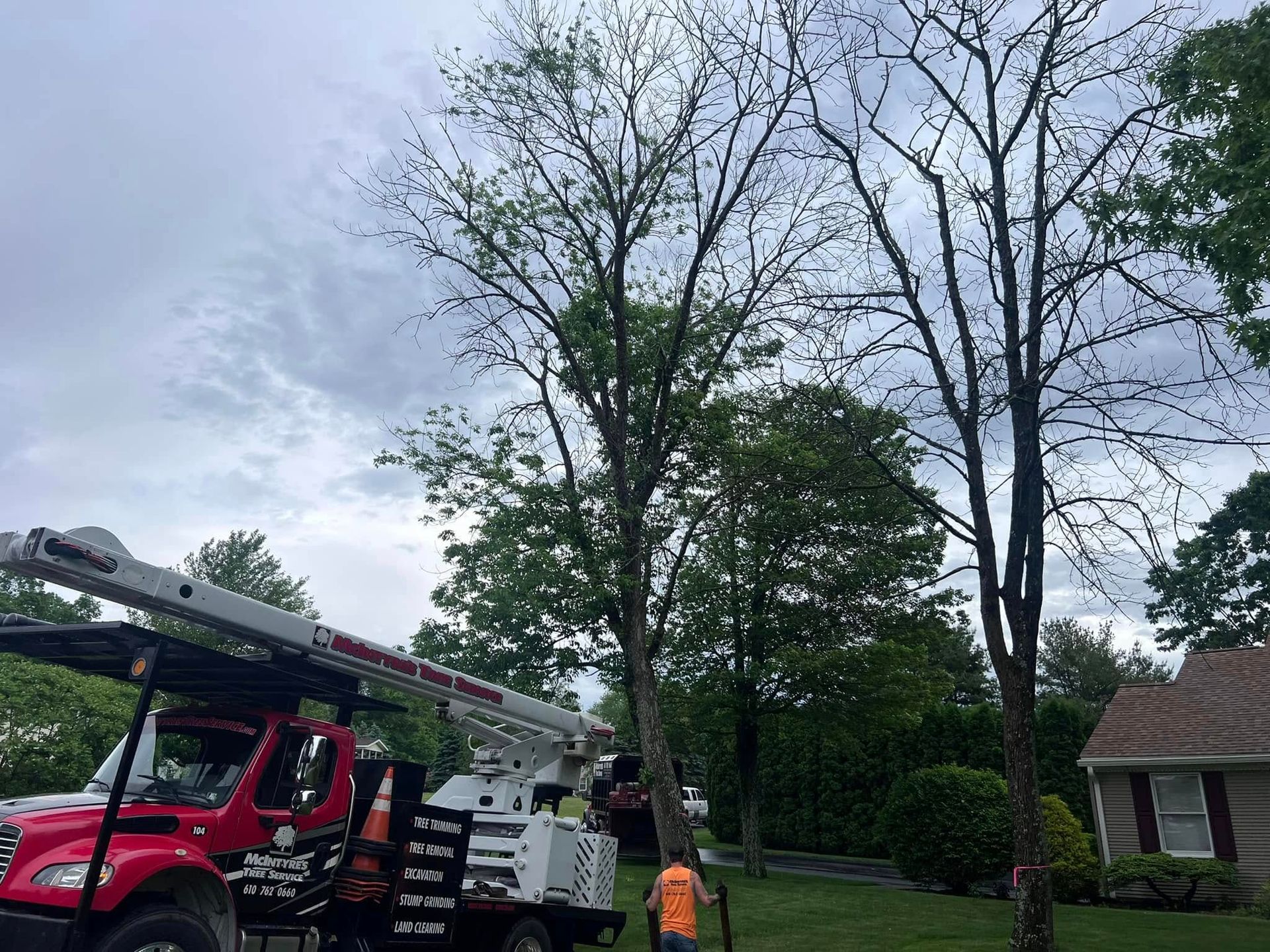 A red truck with a crane on the back is cutting a tree.