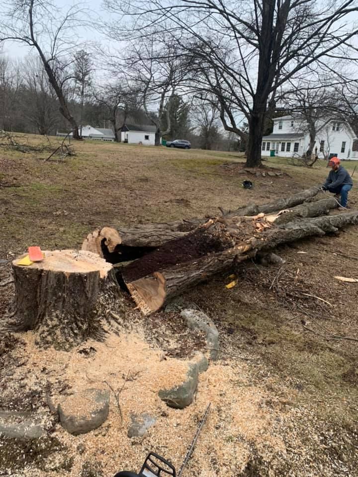 A man is cutting a tree stump with a chainsaw.