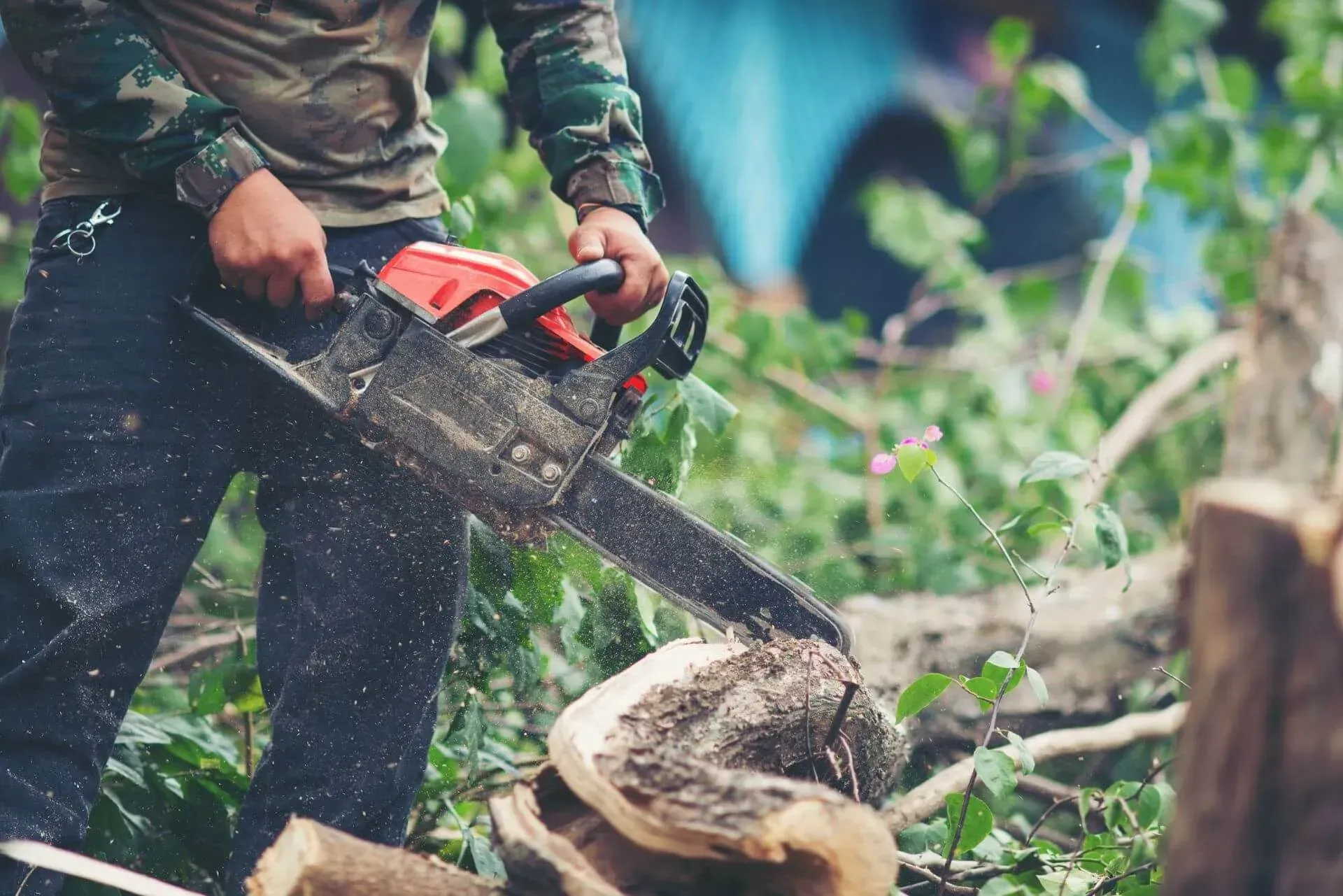 A man is cutting a tree with a chainsaw.