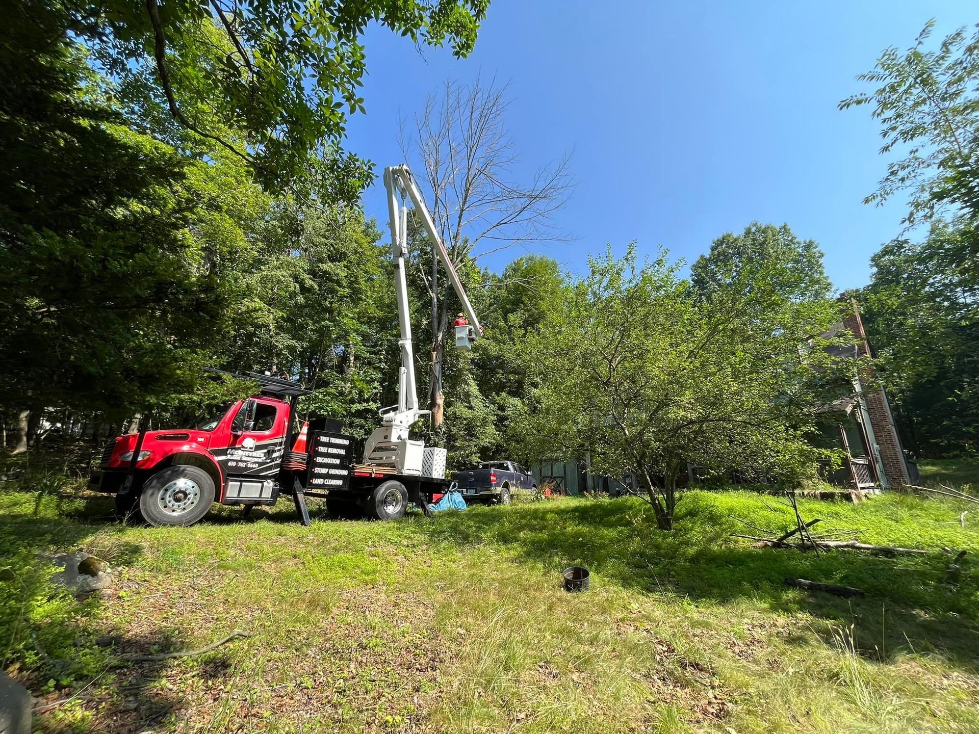 Red tree service truck with boom trimming a tree in a sunny, green yard.