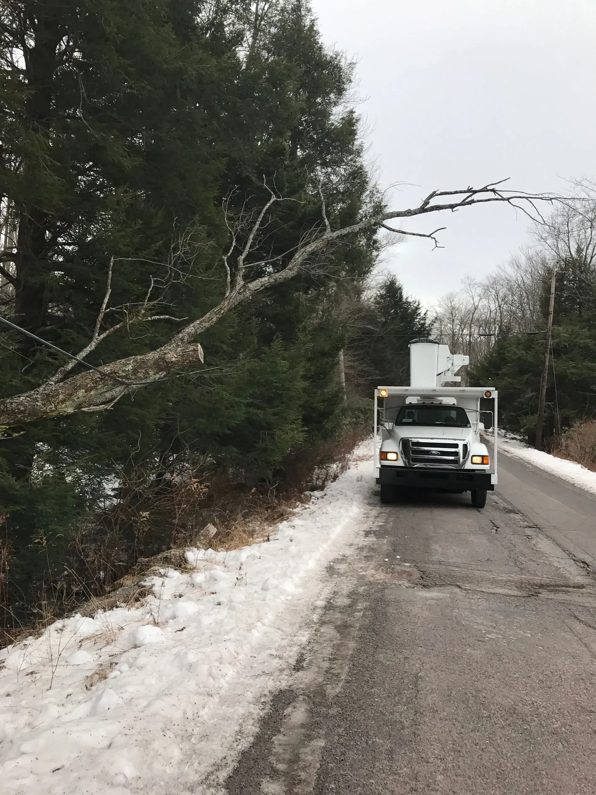A truck is driving down a snowy road next to a fallen tree.