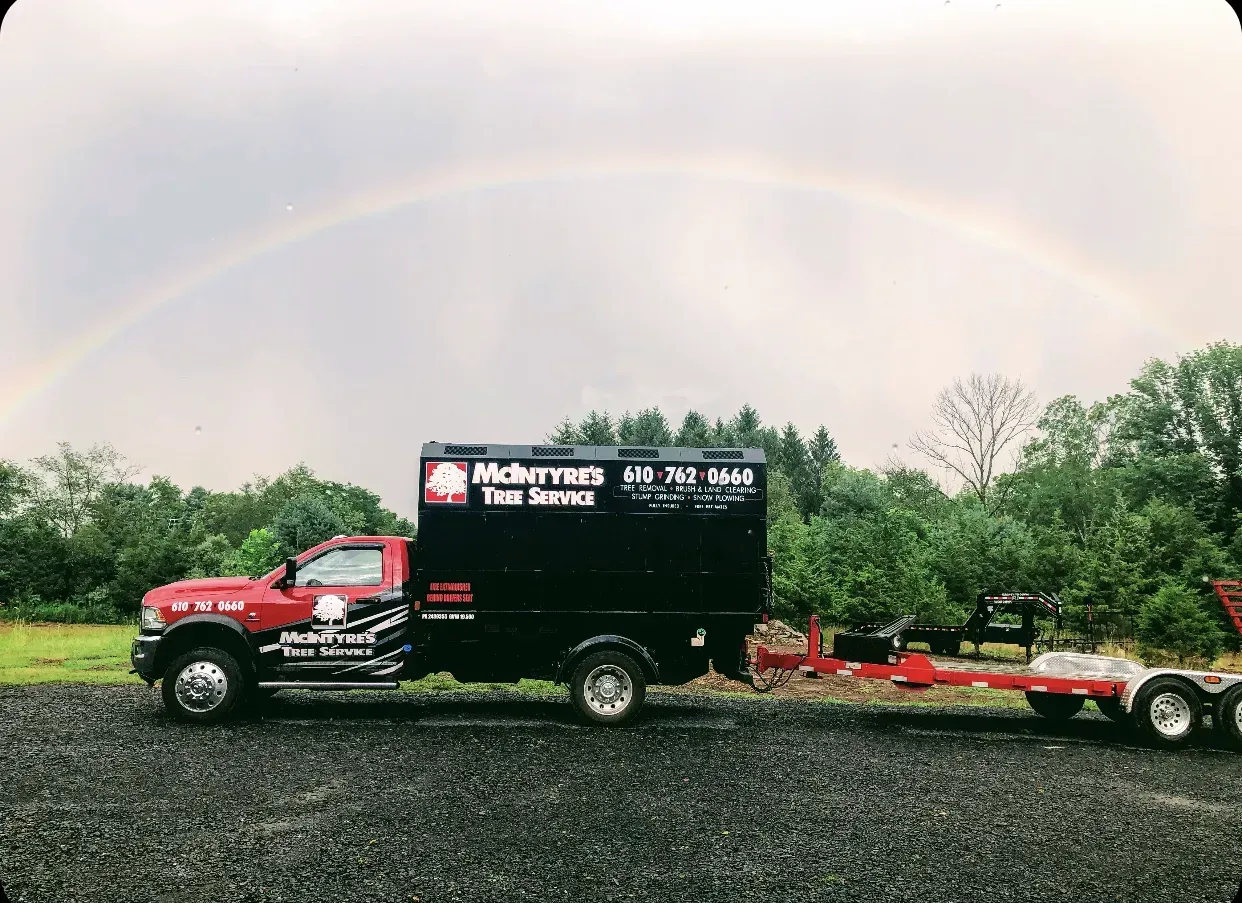 A red truck is parked next to a trailer with a rainbow in the background.