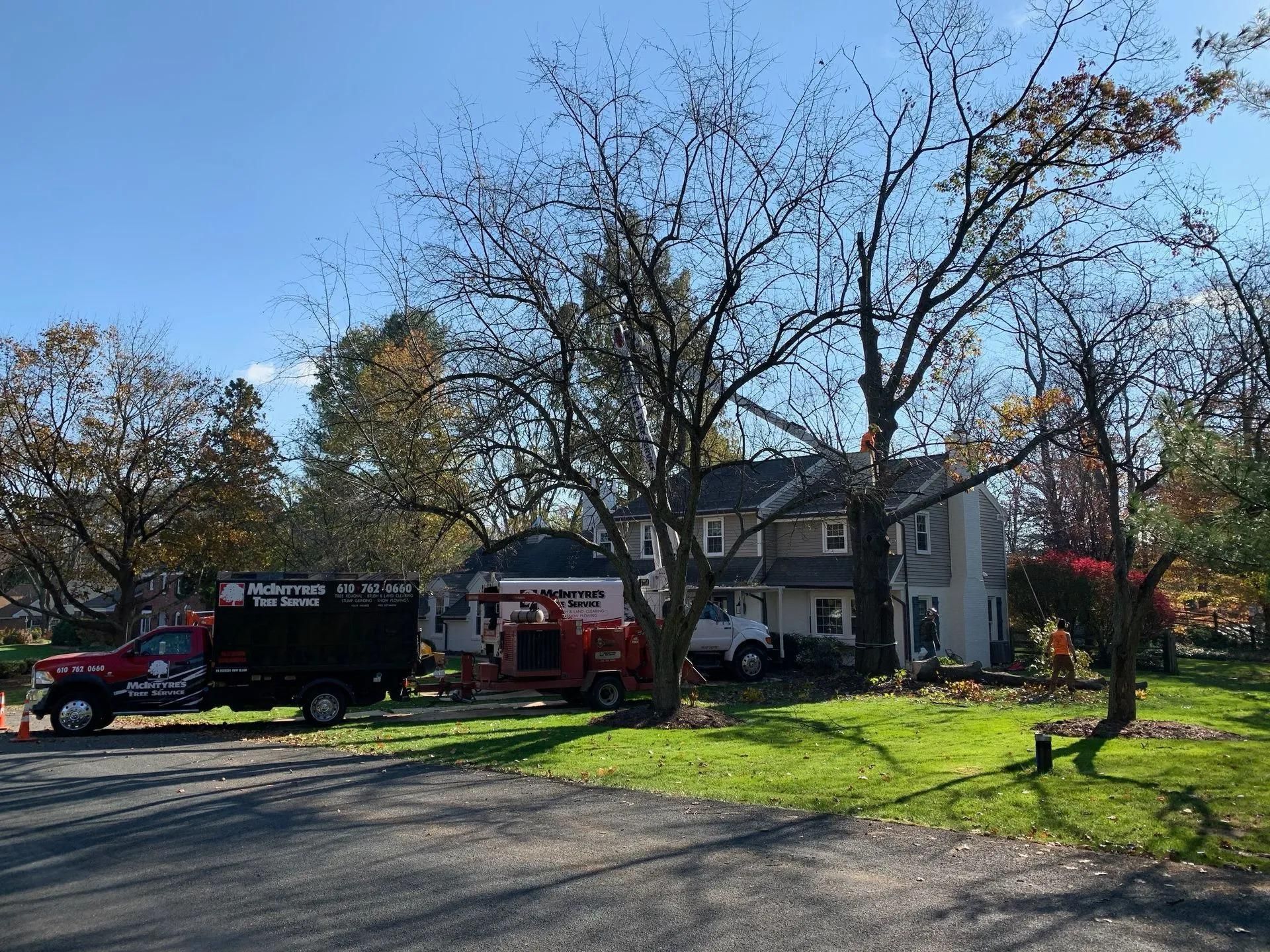 Tree removal service; a truck and chipper next to a two-story house, workers in the tree, sunny day.