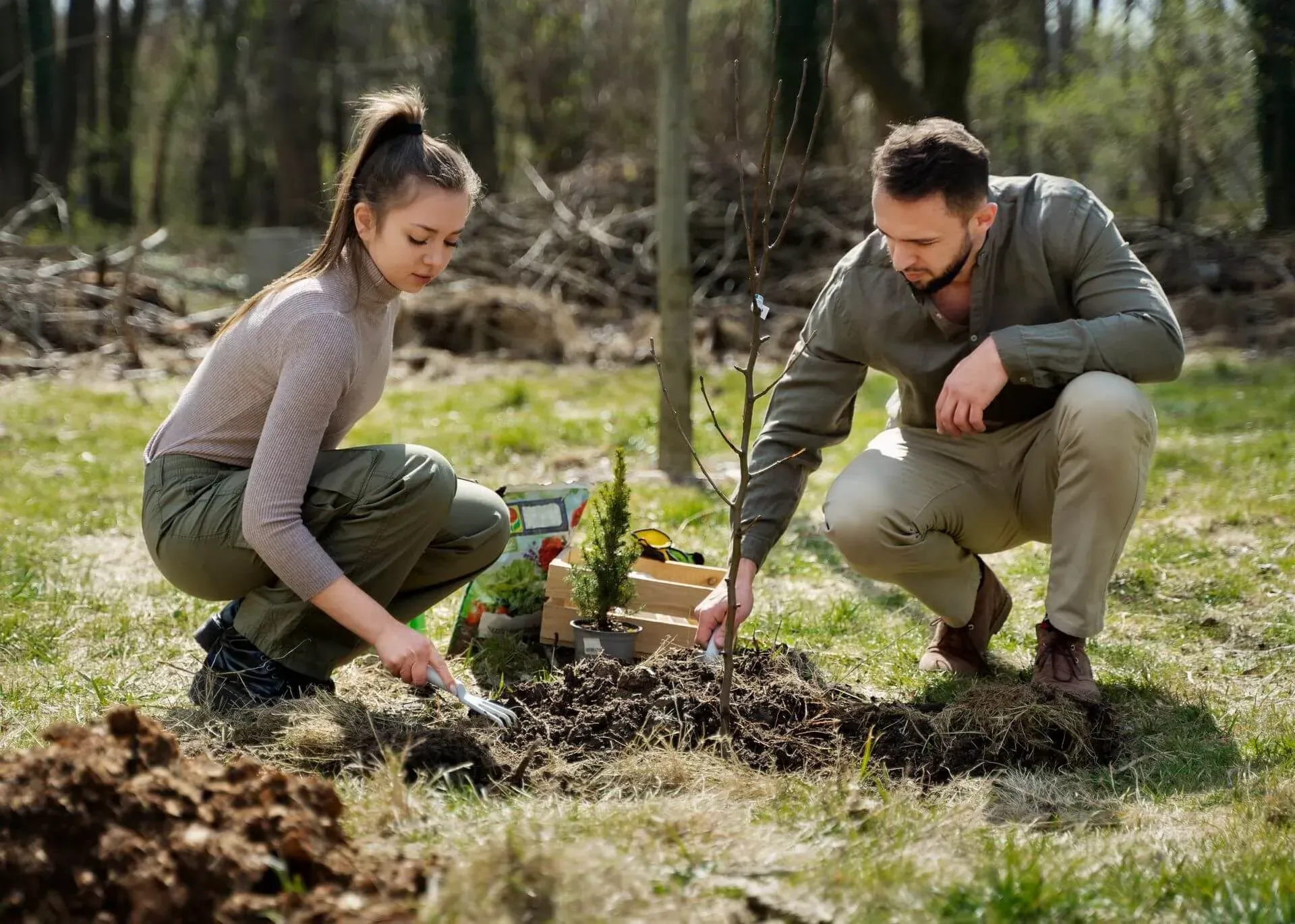 A man and a woman are planting trees in a forest.