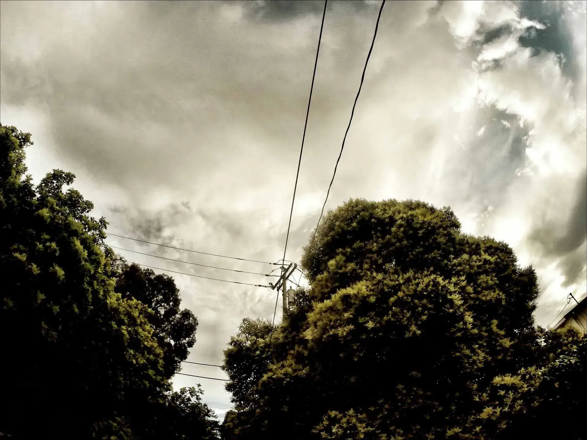 A cloudy sky with power lines and trees in the foreground