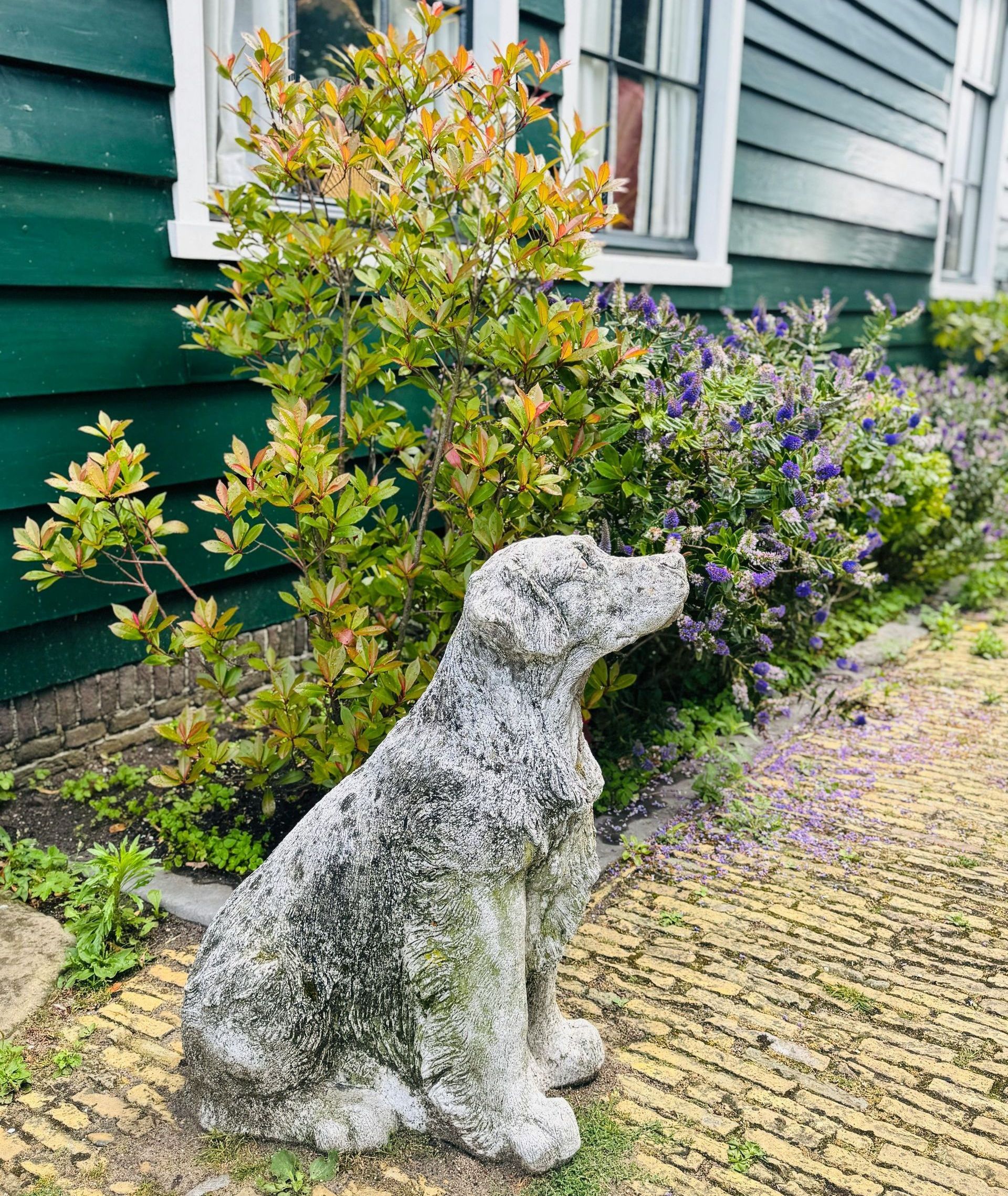 A statue of a dog sitting in front of a house.