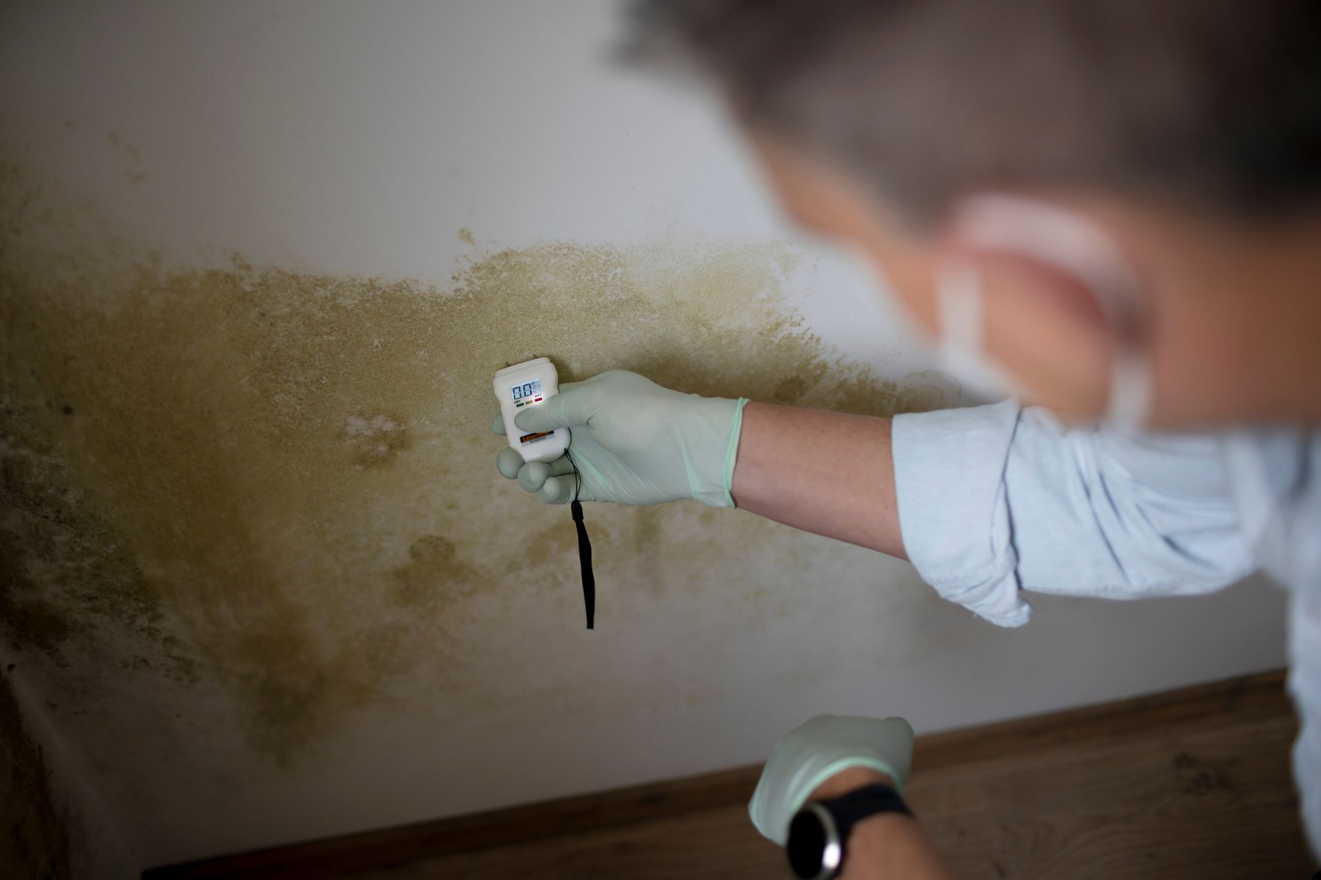 A man wearing nose and mouth protection measures the moisture level on a wall with mold in an apartment.