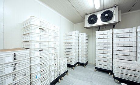 Installing and repairing commercial freezers