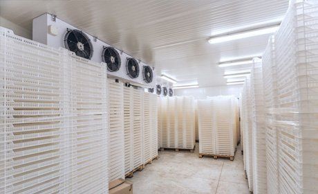 Cool room installations and frozen storage