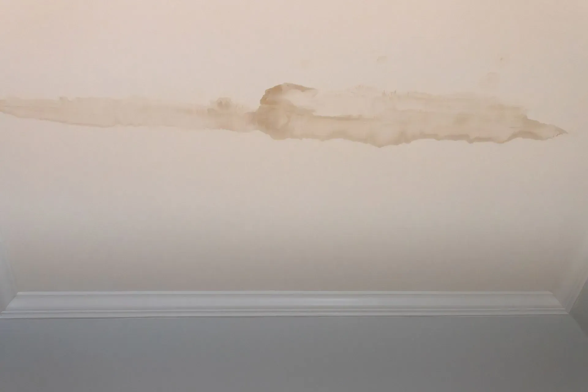 Water stain and peeling paint on a white ceiling above crown molding.