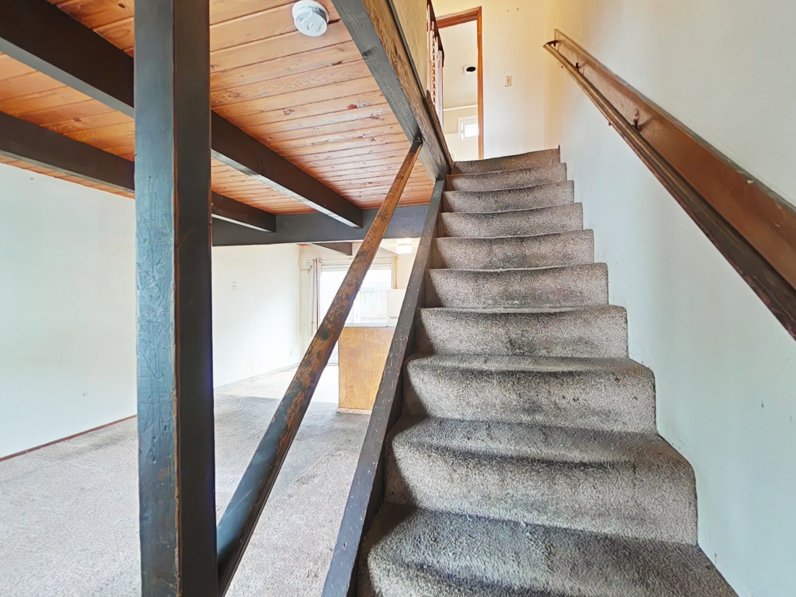 Dirty carpeted stairs, carpeted living room, and worn down handrails
