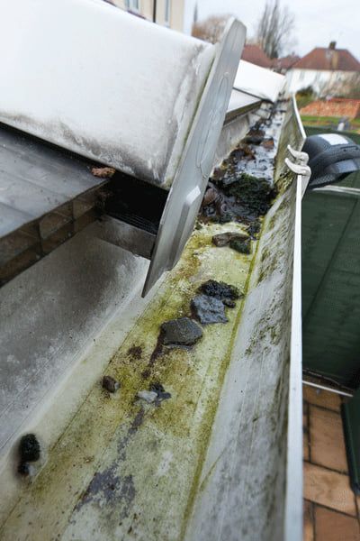  A dirty, debris-filled gutter in need of cleaning.