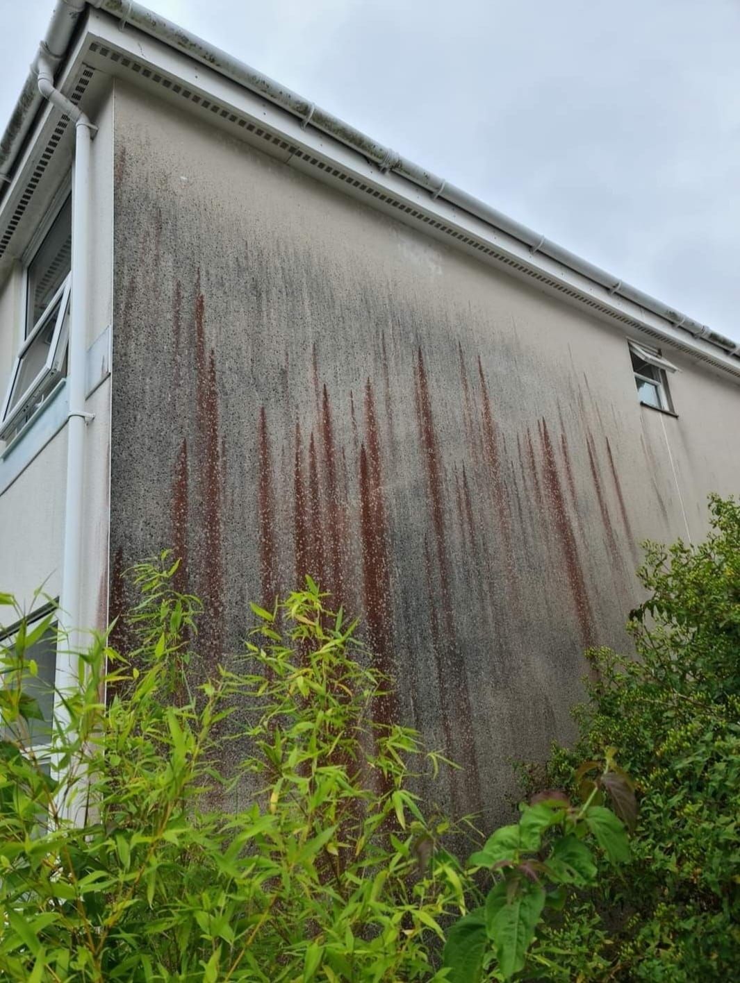 Side elevation of rendered property.  Before Softwash treatment to clean red algae and surface contamination.