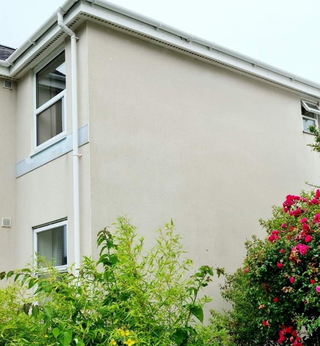 Side of residential build after softwash cleaning