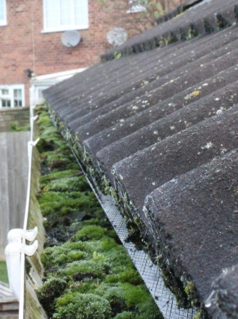 Moss-covered gutter by a tiled roof with a mesh guard, house in background.
