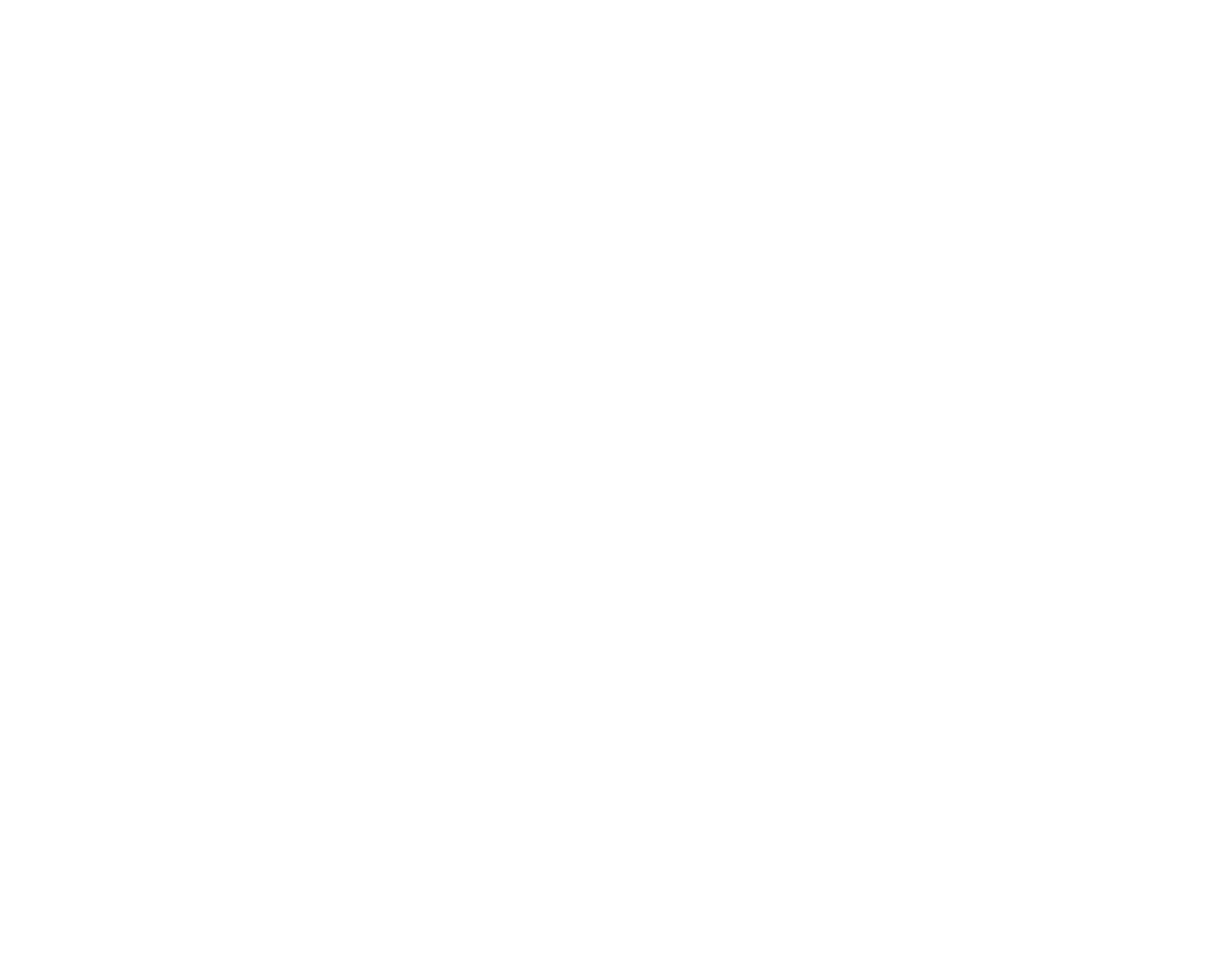 Soul 2 Soul logo