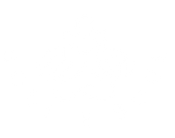 Soul 2 Soul logo