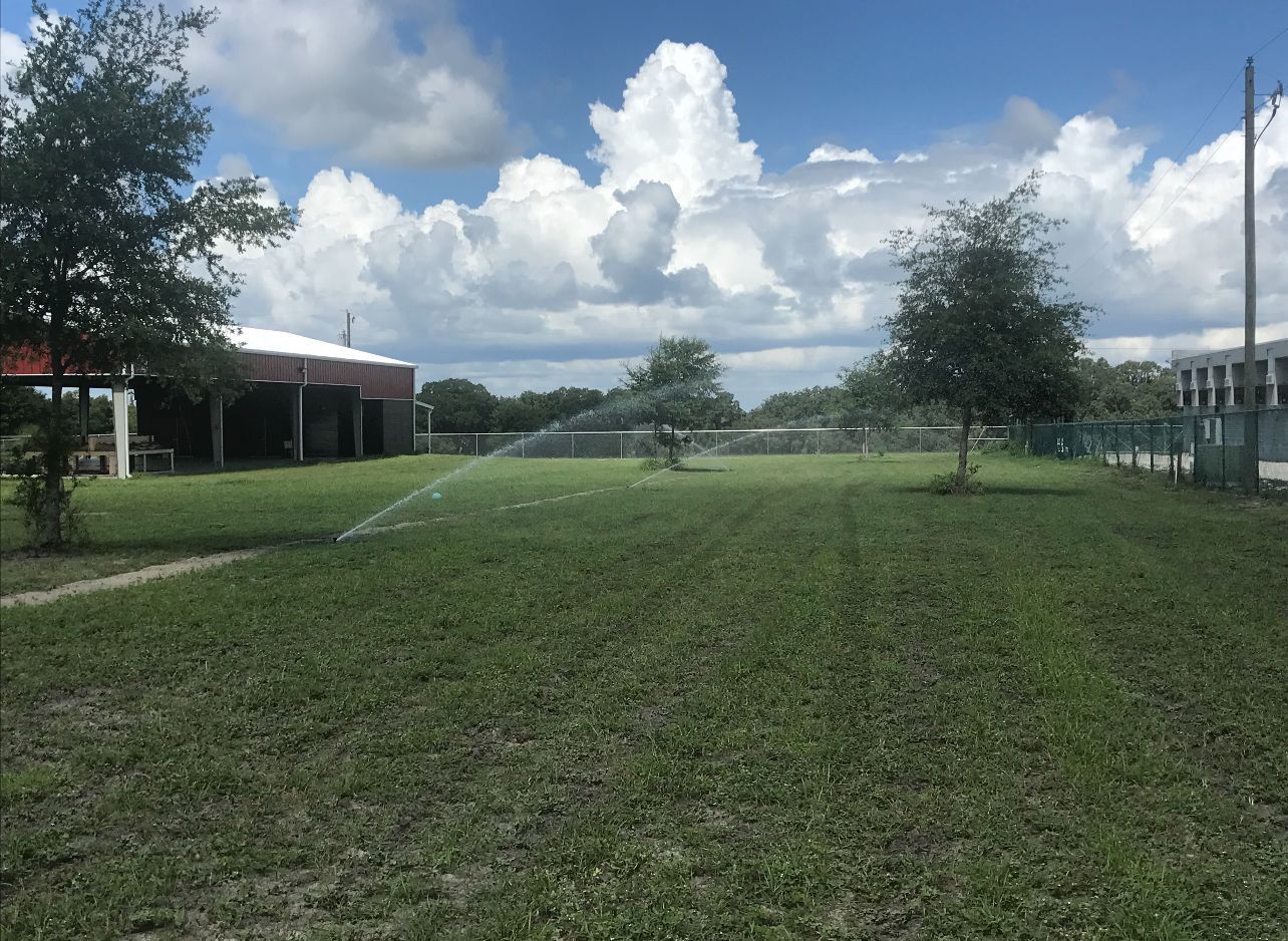 A sprinkler is spraying water on a lush green field