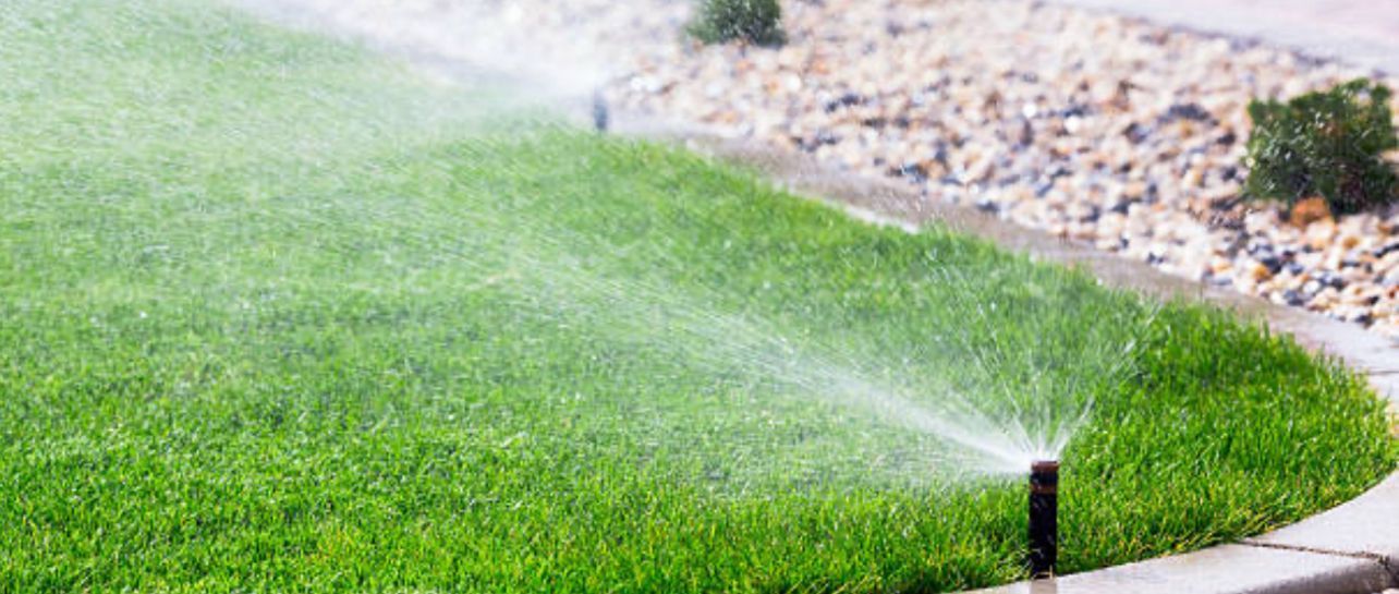 A lawn sprinkler is spraying water on a lush green lawn.