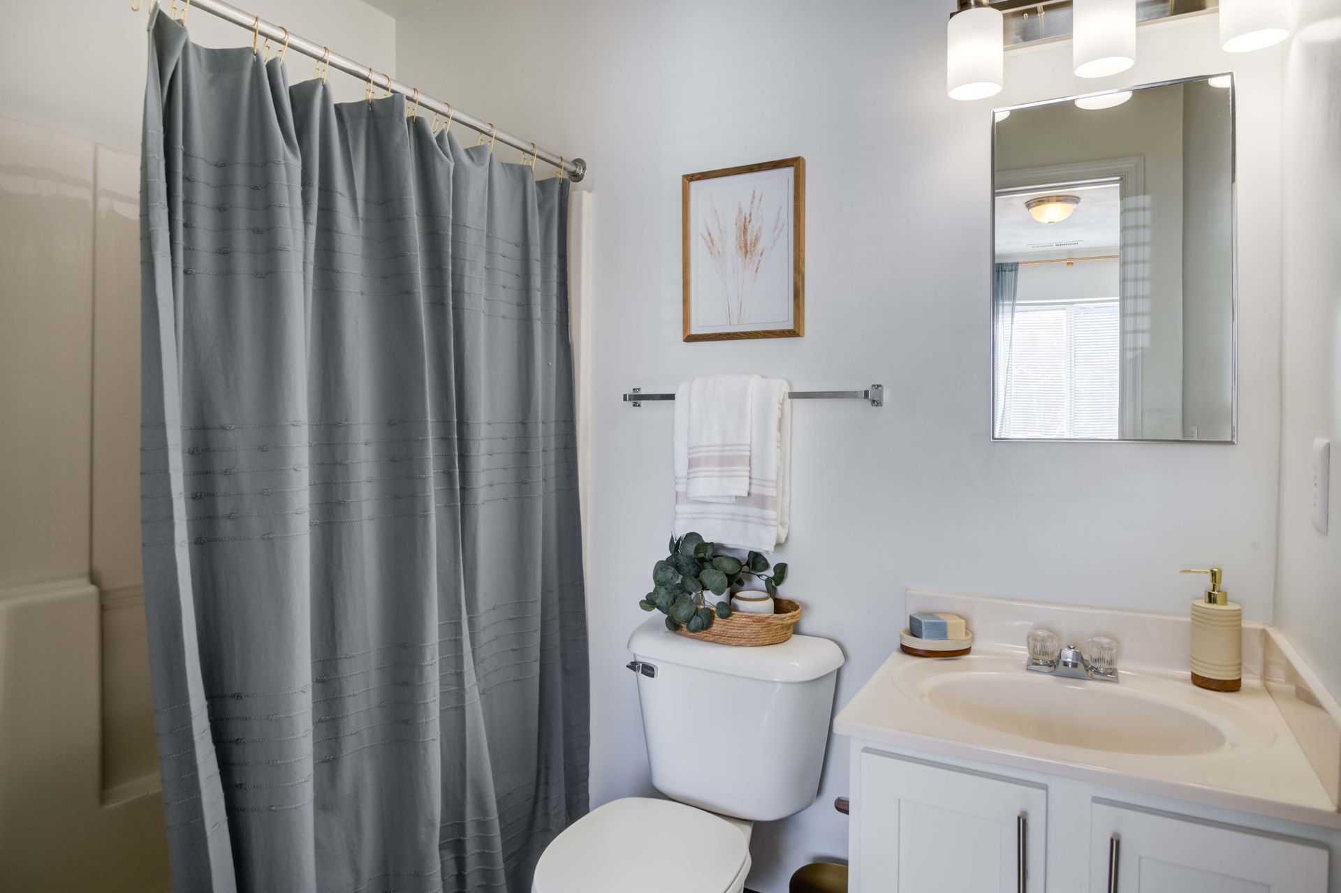 Arcadia Harrisonburg Apartments in Harrisonburg, VA