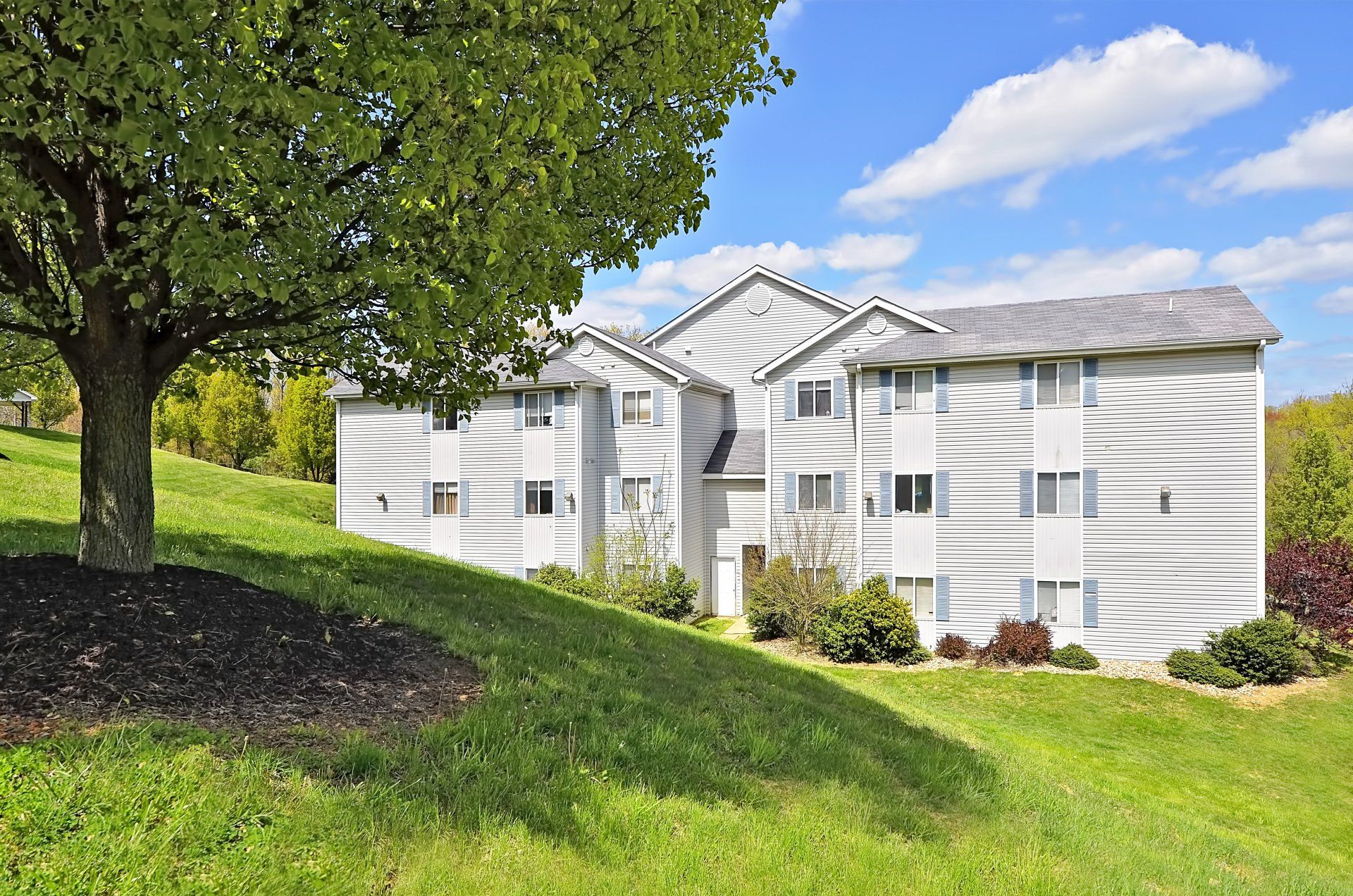 1 bedroom apartments in harrisonburg va