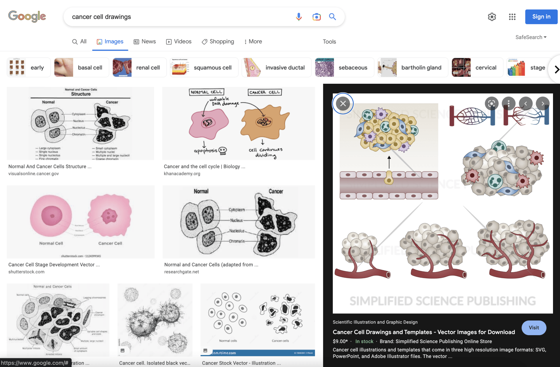 Vector image search results for cancer cell drawings