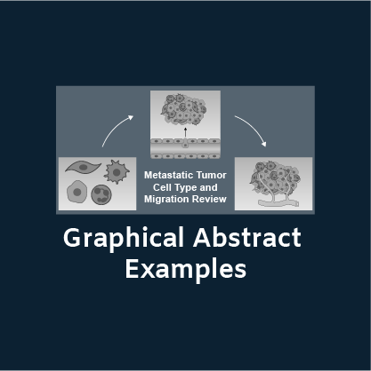 Best Graphical Abstract Examples with Free Templates