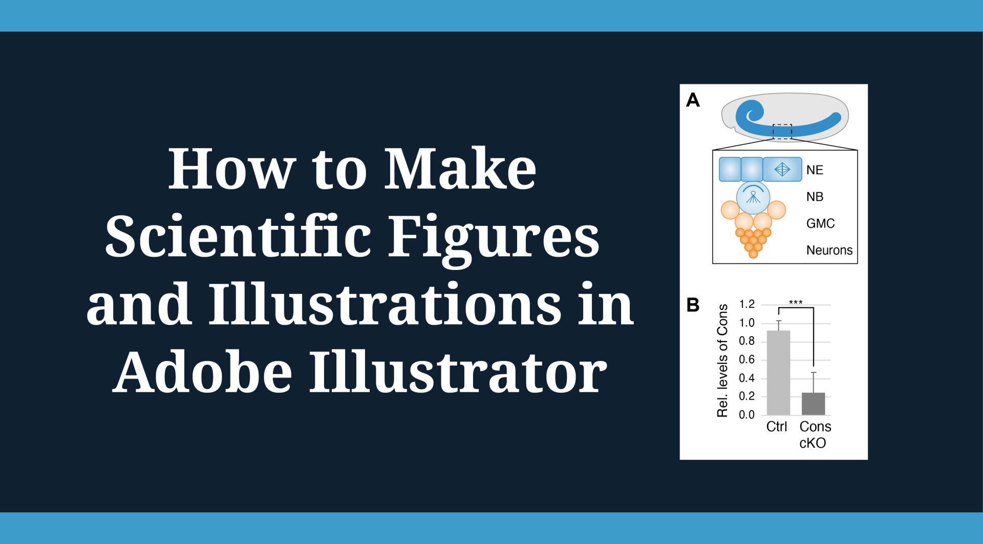 Online Training to Make Scientific Figures in Adobe Illustrator