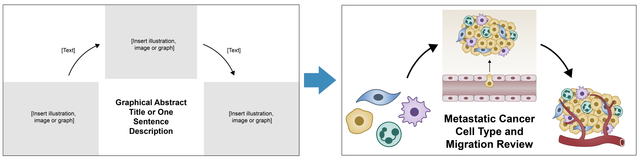 Best Graphical Abstract Examples With Free Templates