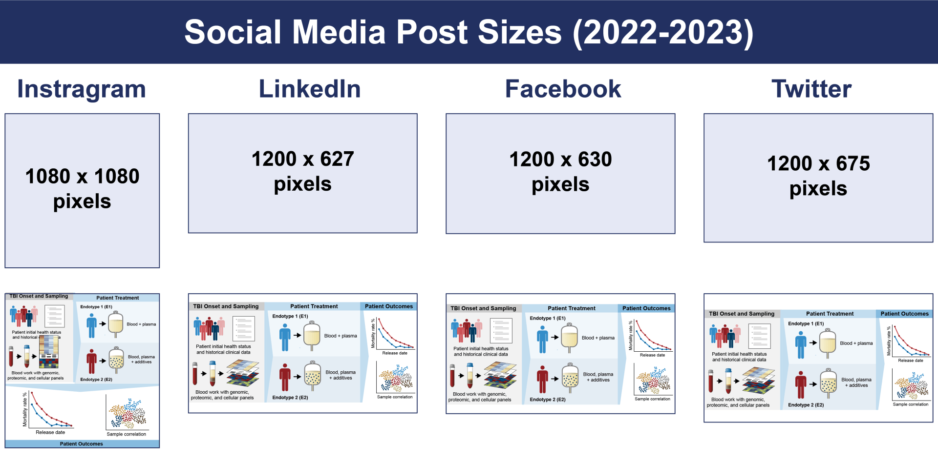 Best Graphical Abstract Examples with Free Templates