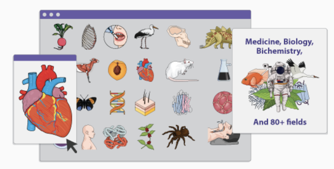 BioRender Alternatives A Scientific Illustration Software Comparison