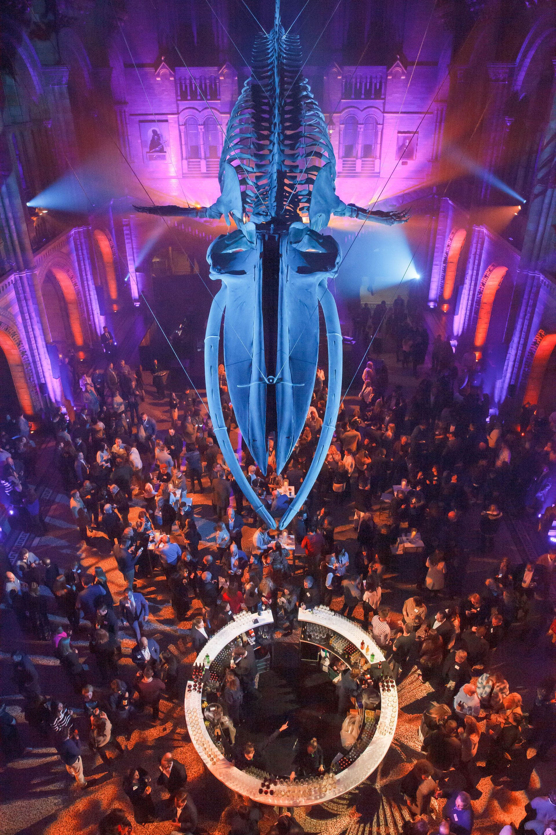 A large statue of a whale is hanging over a crowd of people at a party.
