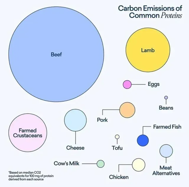 Diagram showing the emissions of common proteins, with beef having the highest.