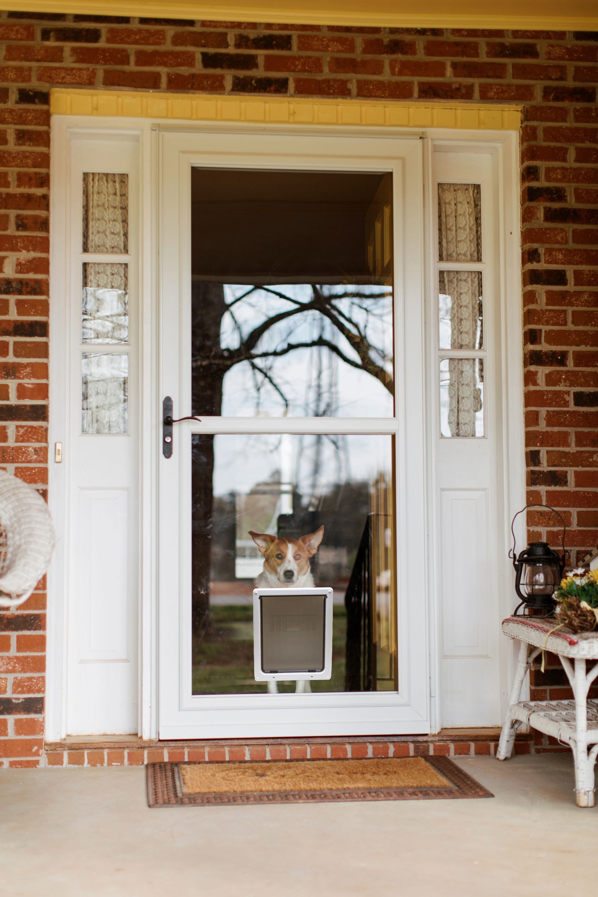 A dog is looking out of a glass door on a porch.