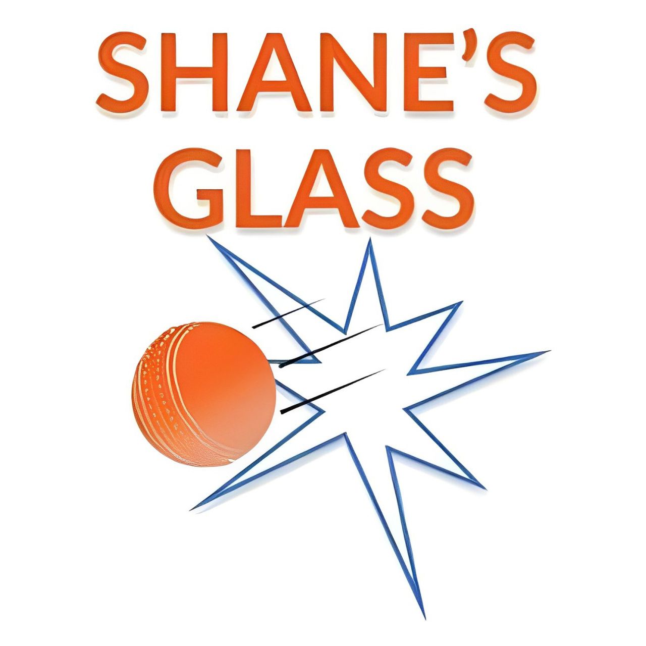 Shane's Glass Canberra logo